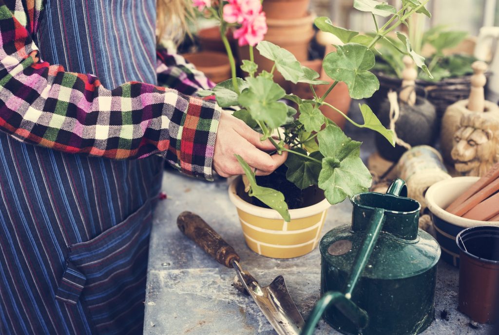 5 práticas que você pode adotar em prol do meio ambiente